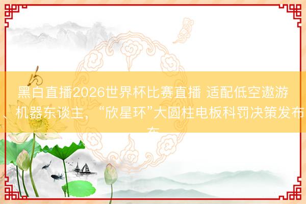 黑白直播2026世界杯比赛直播 适配低空遨游、机器东谈主，“欣星环”大圆柱电板科罚决策发布