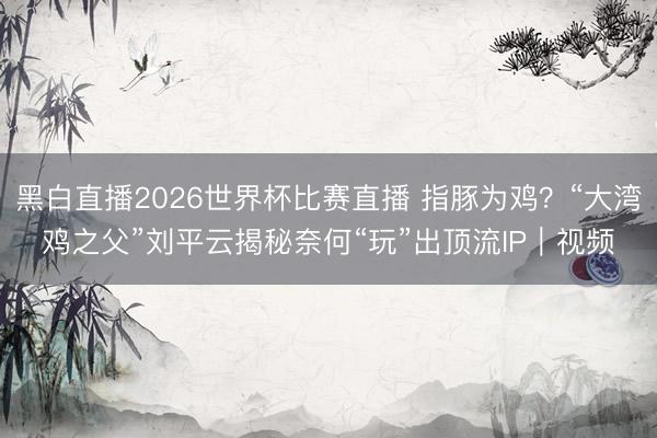 黑白直播2026世界杯比赛直播 指豚为鸡？“大湾鸡之父”刘平云揭秘奈何“玩”出顶流IP｜视频
