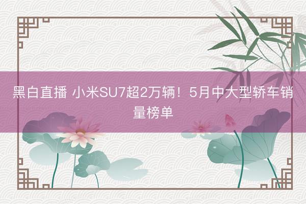 黑白直播 小米SU7超2万辆！5月中大型轿车销量榜单